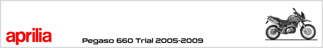 Aprilia Pegaso 660 Trial 05-09