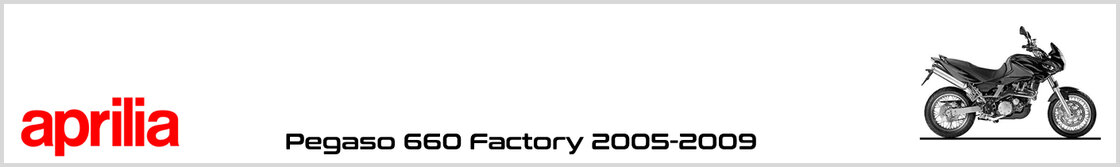 Aprilia Pegaso 660 Factory 05-09